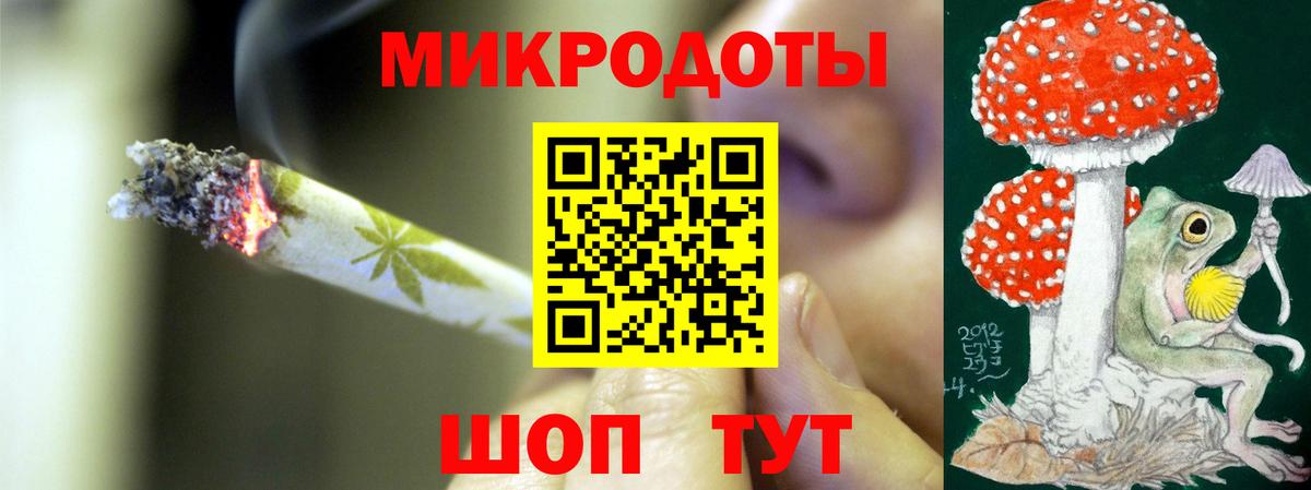 Псилоцибиновые грибы Psilocybine cubensis Дивногорск