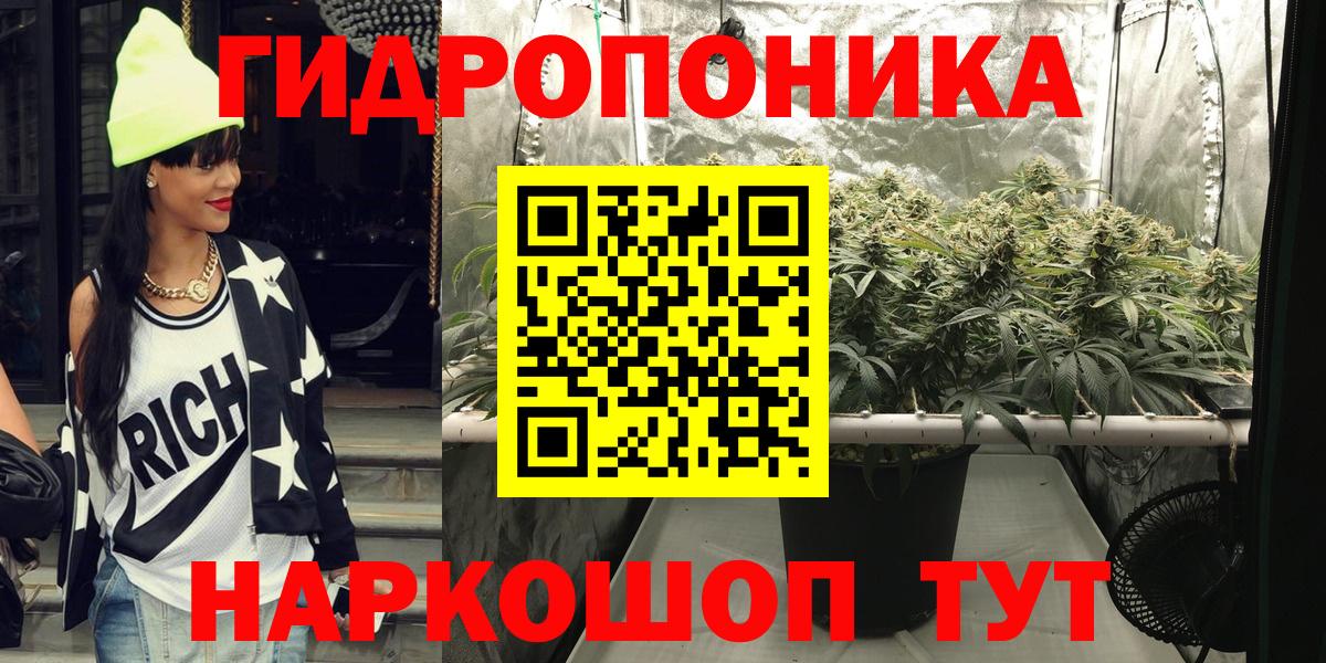 Бошки Шишки семена Дивногорск